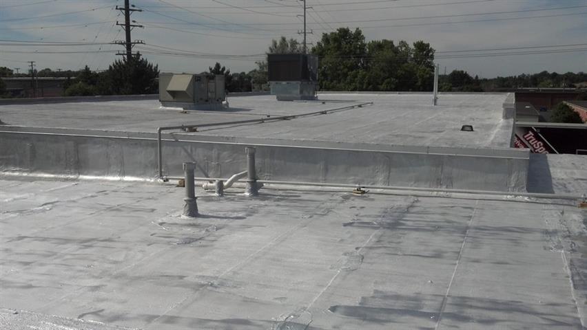 APP Modified- Dixon Roofing Contractor Michigan
