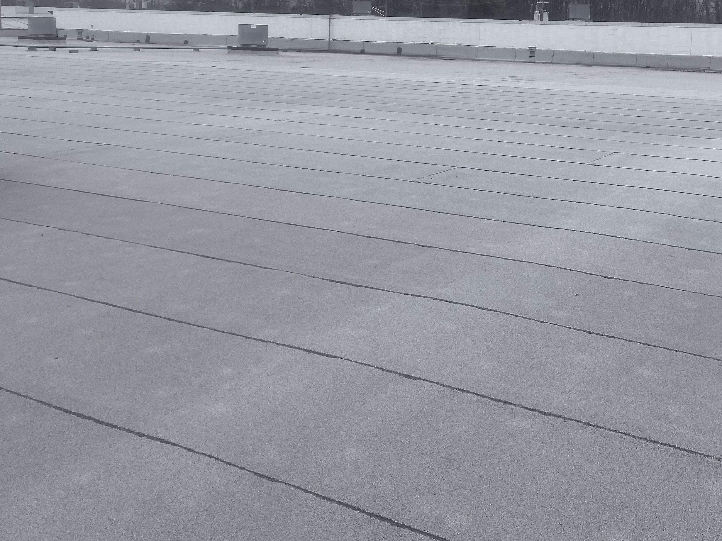 TPO Roofing