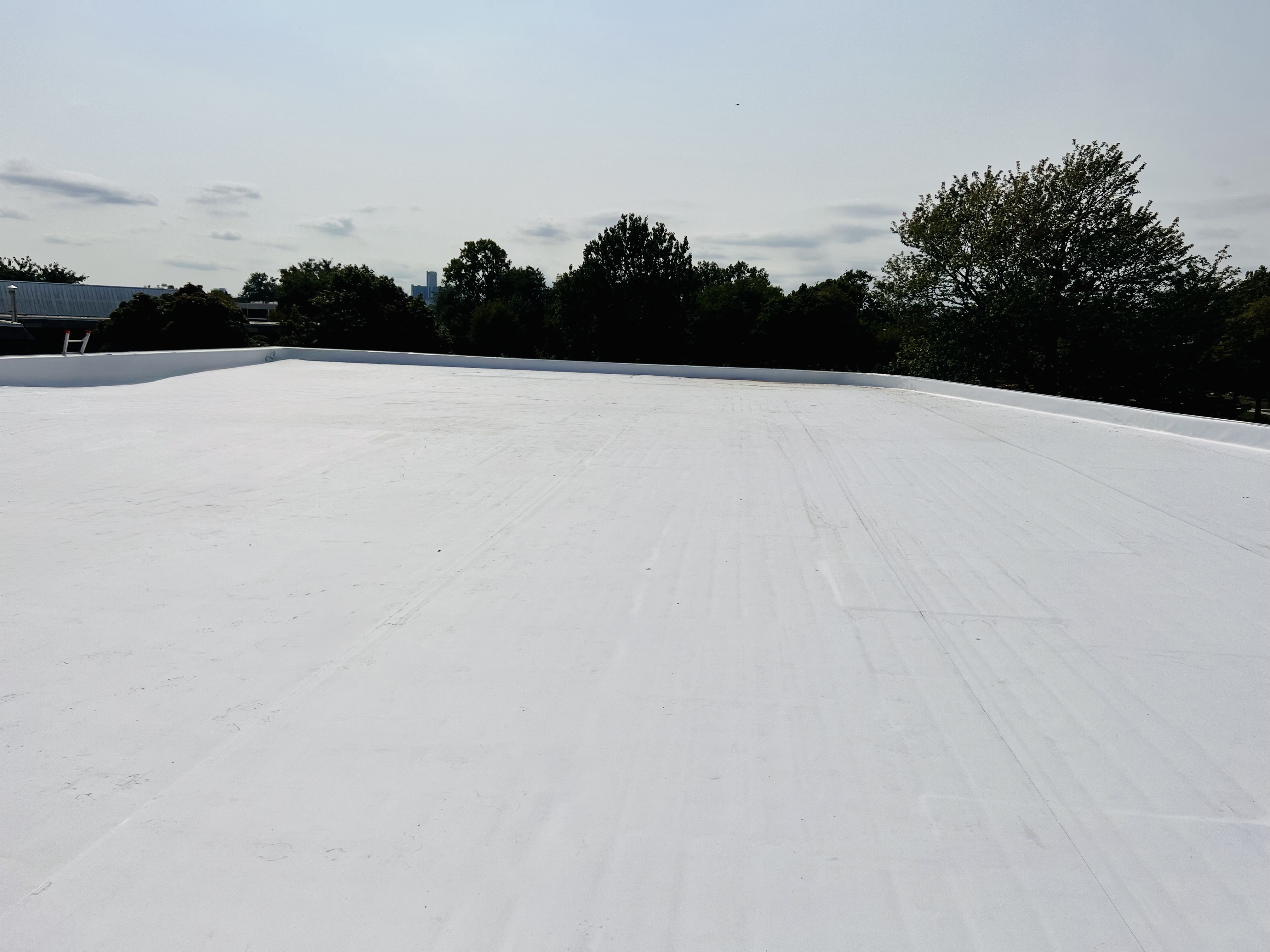 TPO Roofing