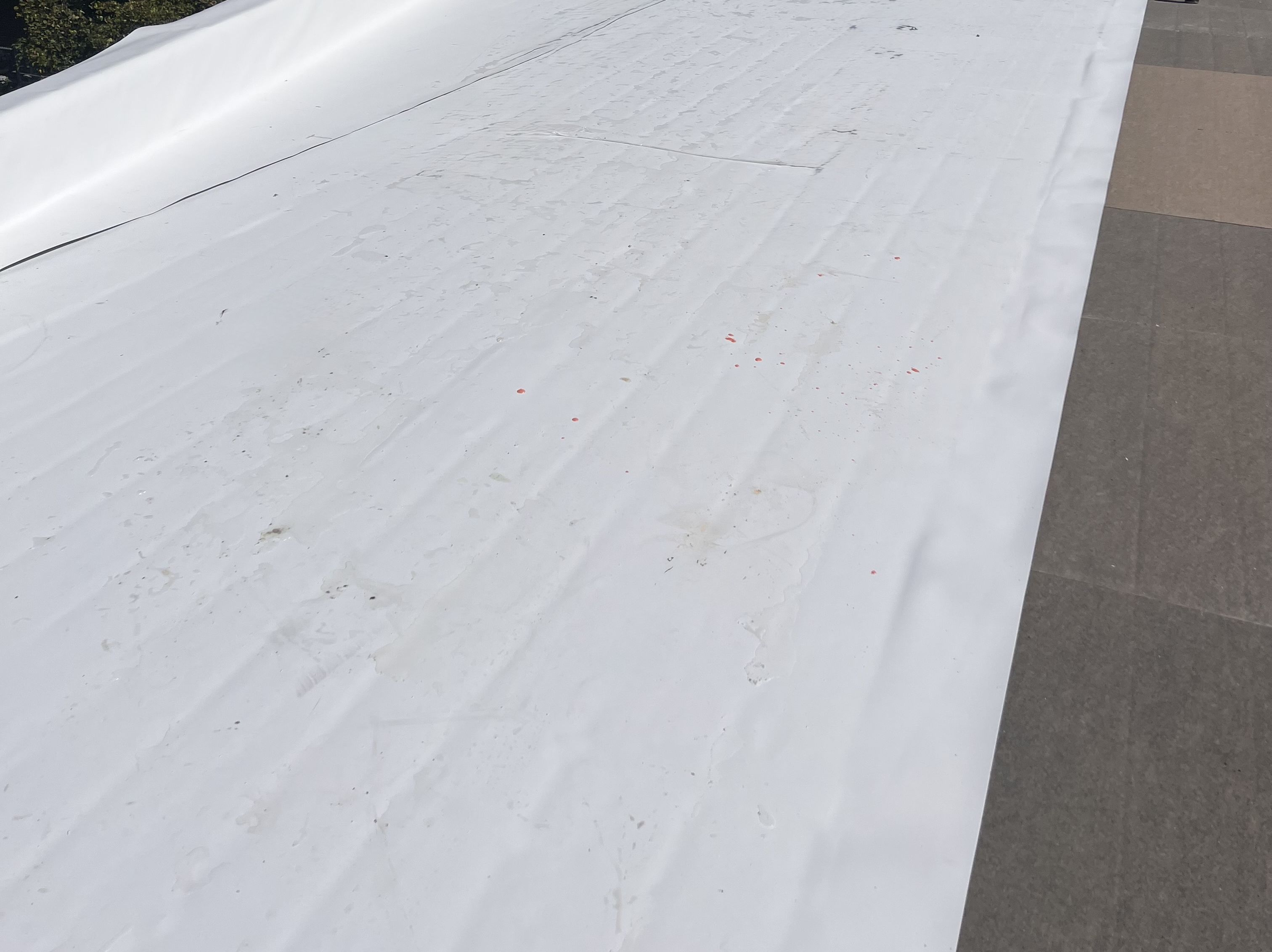 TPO Roofing